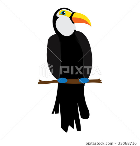 Isolated cute toucan 35068716