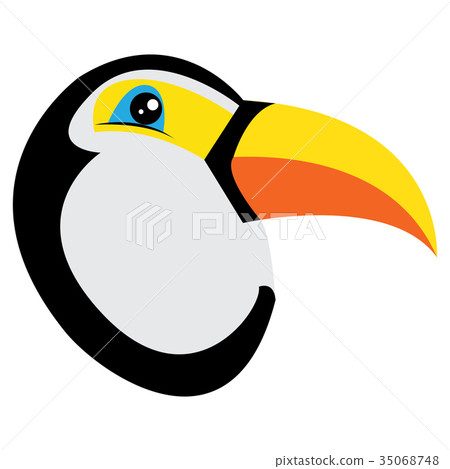 avatar of toucan 35068748