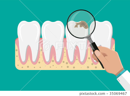 Dentist with magnifying glass examines teeth. - Stock Illustration ...