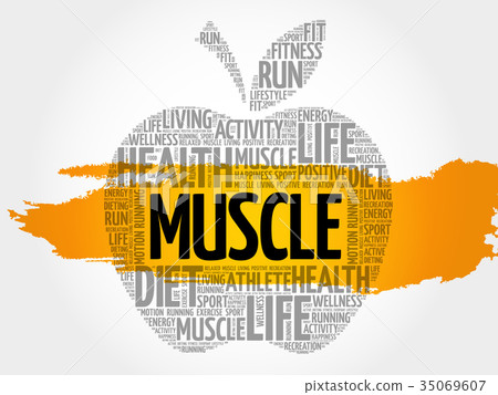 Muscle apple word cloud Muscle apple word cloud 35069607