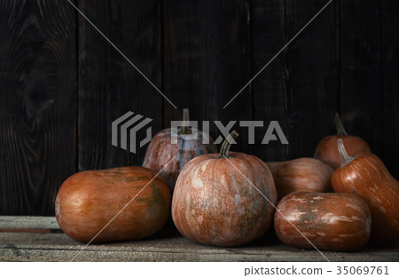Stack of pumpkins after harvesting Stack of pumpkins after harvesting 35069761