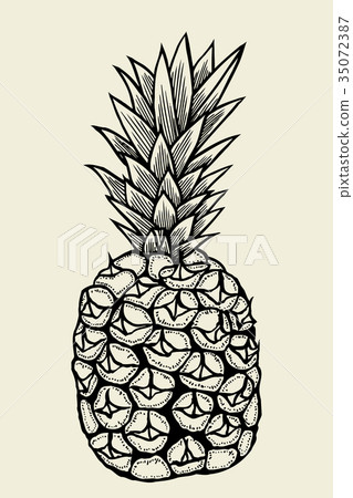 Vector hand drawn pineapple. 35072387
