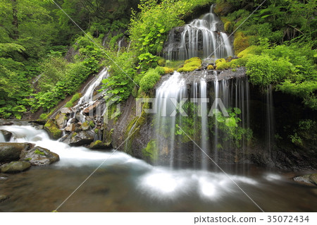 Fresh green Toryu Falls 35072434