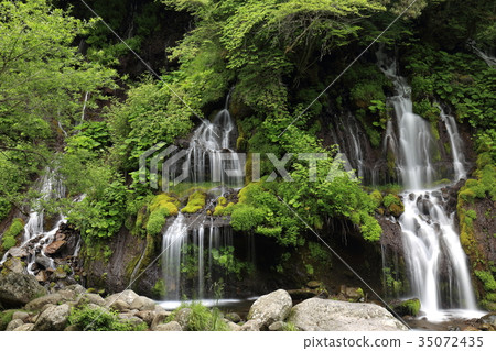 Fresh green Toryu Falls 35072435