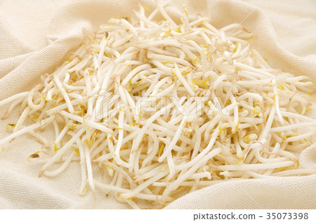 Bean sprouts 35073398