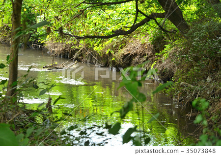 Minoru Numada: Flow of the Kadaya River Minoru Numada: Flow of the Kadaya River 35073848