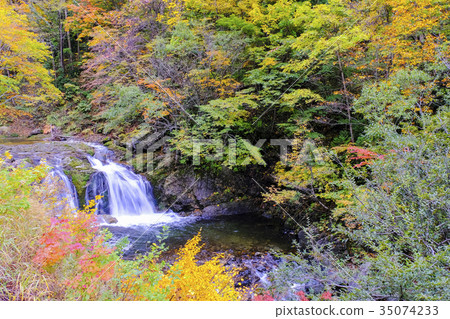 Fall of the woody waterfall 35074233