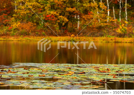 初秋訪問 35074703