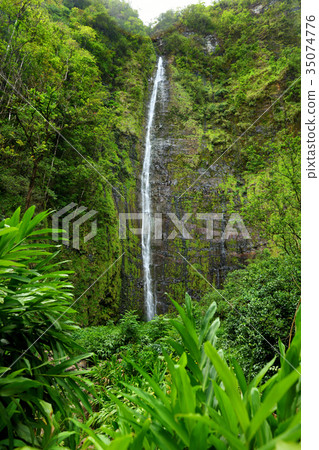 Famous Waimoku Falls waterfall 35074776