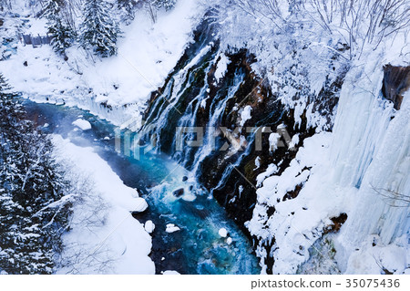 美瑛/白鬍子瀑布（冬季） 35075436