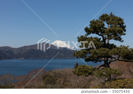 從箱根昂石公園看到的富士山 從箱根昂石公園看到的富士山 35075450
