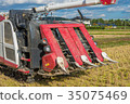 Scenery of harvesting 35075469