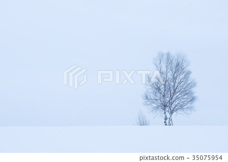 Hard winter 35075954