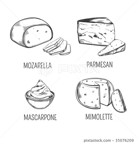 Mozzarella cheese and parmesan, mimolette sketches Mozzarella cheese and parmesan, mimolette sketches 35076209