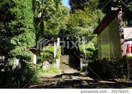 Kamakura City Sugimotodera Sugimotodera temple 35076845