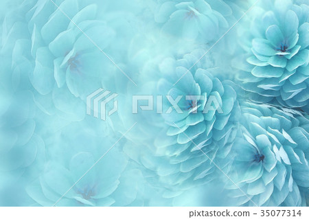 Watercolor flowers on blurry turquoise background  35077314