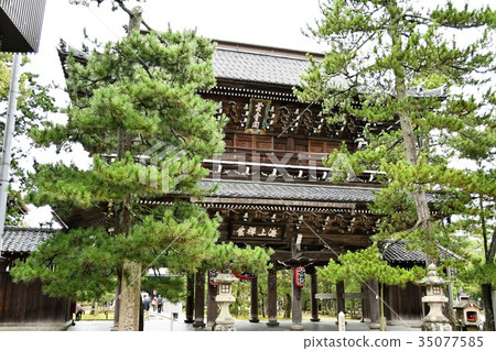 Chionji雨的寺廟 Chionji雨的寺廟 35077585