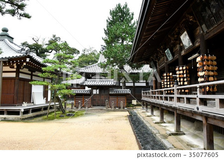 Chionji雨的寺廟 Chionji雨的寺廟 35077605