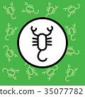 Scorpion icon sign and symbol on green background 35077782