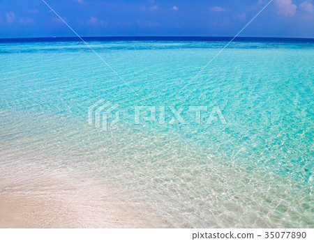 Tropical resort image Maldives Elyadoo's white sand beach and transparent sea 35077890