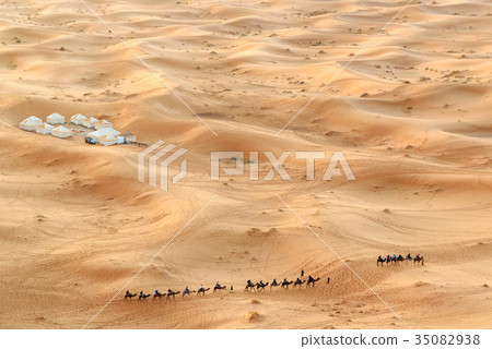 Caravan of Camels in Erg Chebbi Sand dunes Caravan of Camels in Erg Chebbi Sand dunes 35082938
