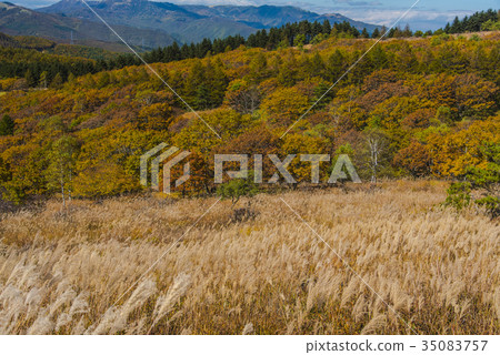 Kirigamine of autumn leaves Kirigamine of autumn leaves 35083757