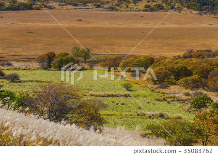 Fall of Hachiagahara Marsh 35083762