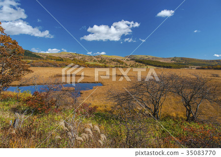 Fall of Hachiagahara Marsh 35083770
