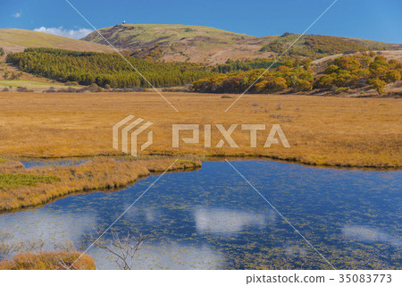 Fall of Hachiagahara Marsh 35083773