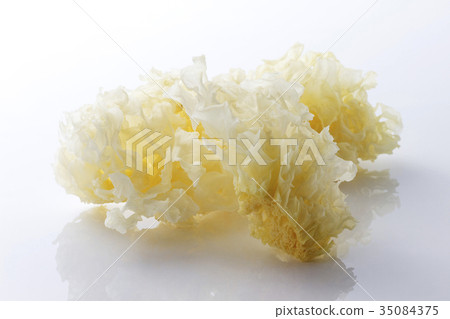 白菊花2 白菊花2 35084375