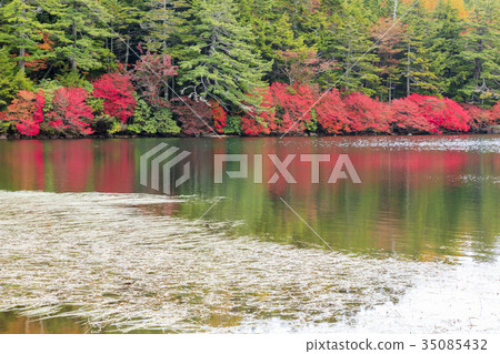 Shirakawa Pond Shirakawa Pond 35085432