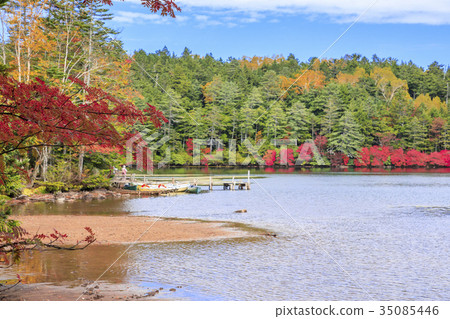 Shirakawa Pond Shirakawa Pond 35085446