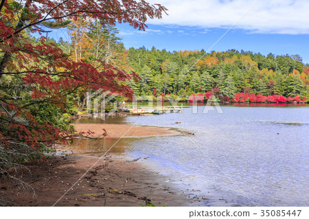Shirakawa Pond Shirakawa Pond 35085447