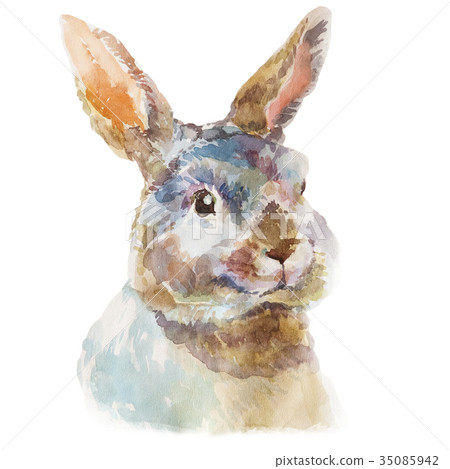 Cute watercolor hand drawn little fluffy rabbit 35085942