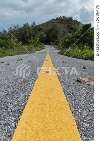 yellow traffic lines with dry leaf on the ground. 35086470