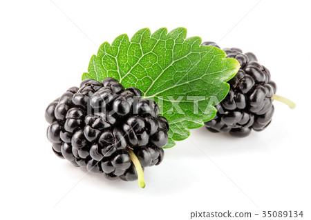 Mulberry berry with leaf isolated on white Mulberry berry with leaf isolated on white 35089134