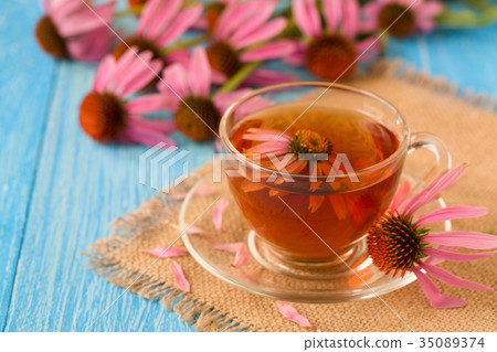 Cup of echinacea tea on blue wooden table Cup of echinacea tea on blue wooden table 35089374