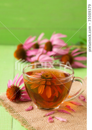 Cup of echinacea tea on green wooden table Cup of echinacea tea on green wooden table 35089379