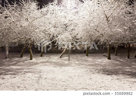 Empty city park at winter night Empty city park at winter night 35089982
