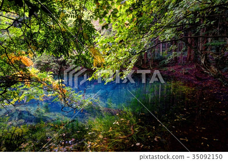 Mr. Maruike of early autumn 35092150