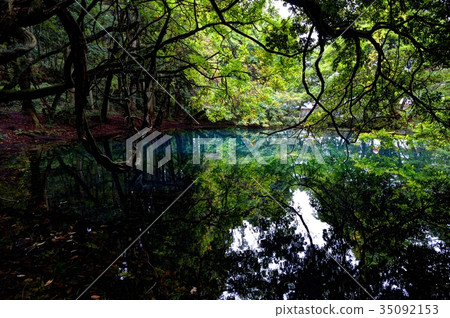 Mr. Maruike of early autumn Mr. Maruike of early autumn 35092153