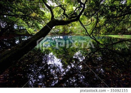 Mr. Maruike of early autumn 35092155