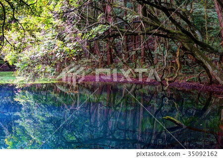 Mr. Maruike of early autumn 35092162