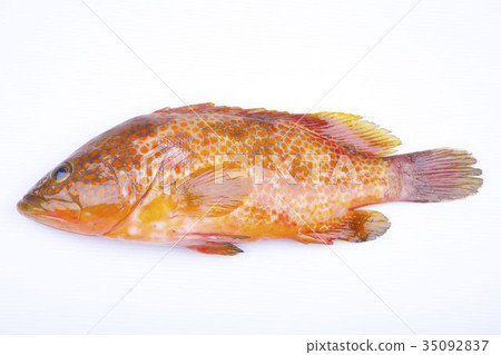 Ako ingredients Ako ingredients 35092837