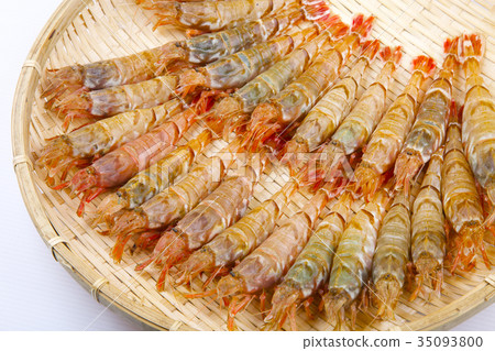 Food ingredients 35093800