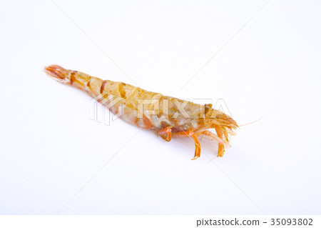 Food ingredients Food ingredients 35093802