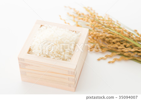Rice 35094007