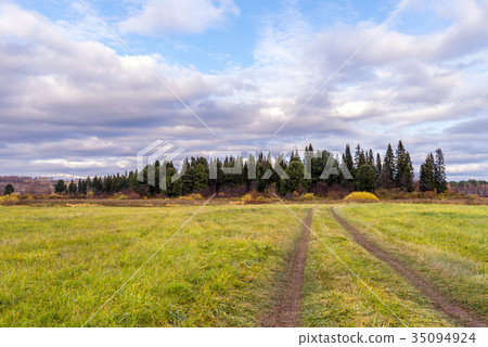 Path in the field leading to the forest Path in the field leading to the forest 35094924