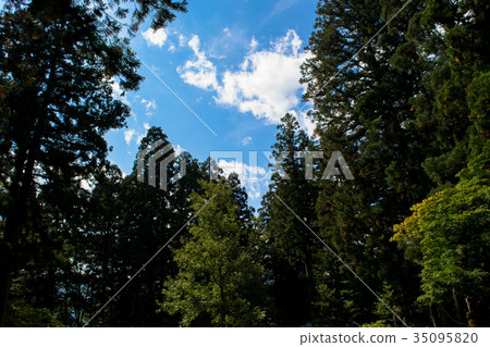 Blue sky seen from the shrine, sunbeams through trees 35095820
