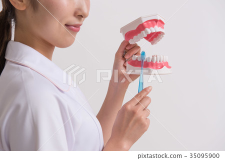 牙科保健員 35095900